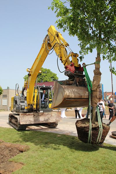 … einen Baum vor dem neuen Hauptgebäude einzupflanzen. (Bild: Itasse)