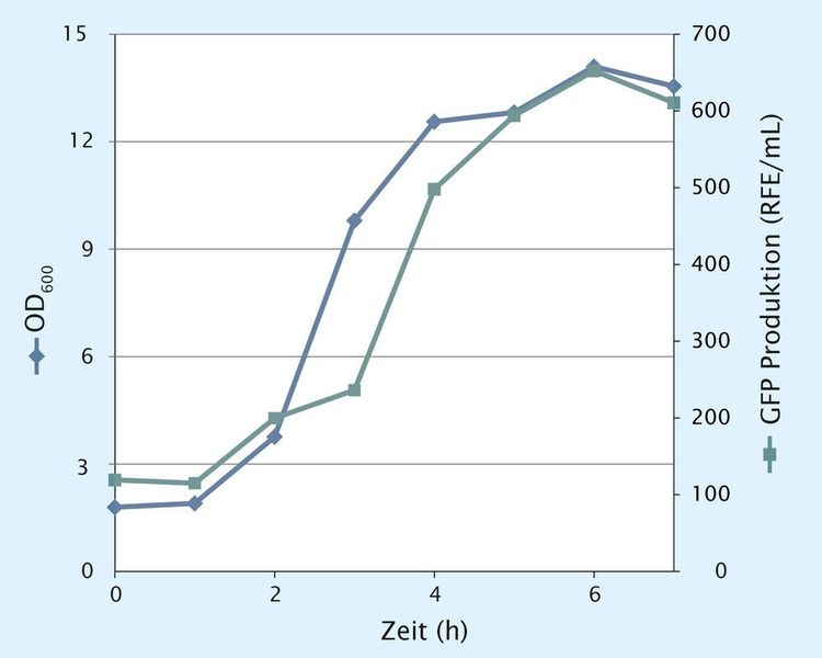 Abb. 3: E. coli Wachstumskurve und Ausbeute der GFP-Produktion. RFE: Relative Fluoreszenzeinheiten  (Eppendorf AG)