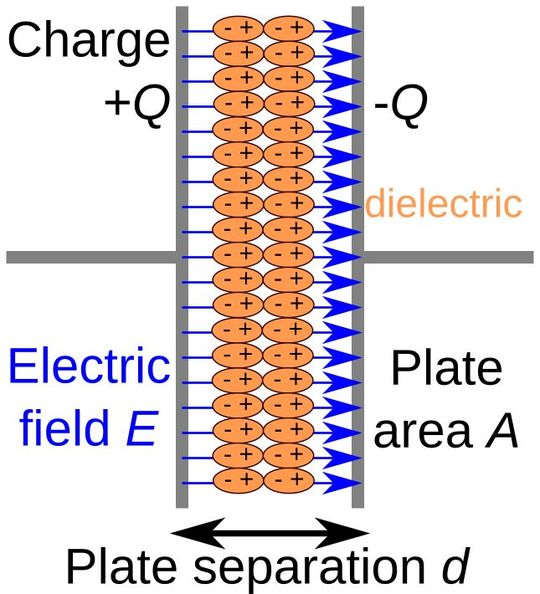 The image shows the electric field during the charging process. (Source:  Capacitor schematic with dielectric /Papa November / CC BY-SA 3.0)