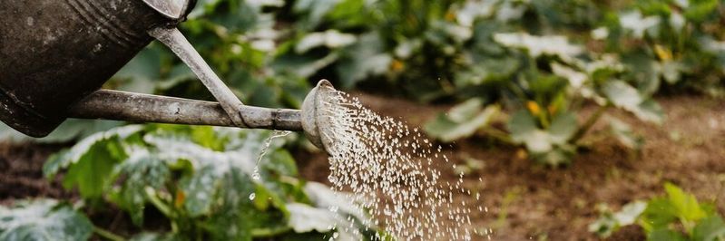 Im B2B Marketing vollzieht sich ein klarer Wandel: weg vom Gießkannenprinzip, hin zur individuellen Ansprache.(Bild:  Pexels)