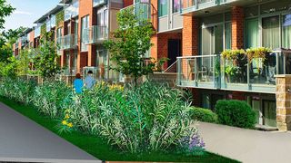 Regen- und Grauwasser, das der Haushalt nicht wiederverwertet, fließt in die Energieallee – einem Grünstreifen mit feuchtigkeitsliebenden Pflanzen. Sie stehen mit den Wurzeln im Wasser, nehmen restliche Nährstoffe auf und haben selbst optimale Wachstumsbedingungen. (Fraunhofer-ISI)