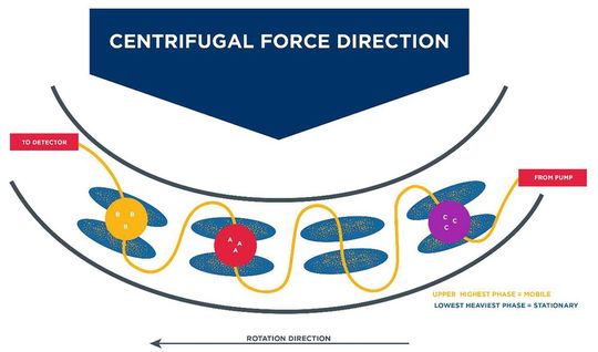 Abb.3 Durch Zentrifugalkraft bleibt die flüssige stationäre Phase im System. Die Trennung erfolgt durch unterschiedliche Affinität der Analyten zur stationären Phase und dem nicht damit mischbaren Lösungsmittel.(Bild:  Gilson)