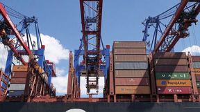 Zusätzliche Handelsabkommen, wie das mit den Mercosur-Staaten, würden laut Ifo Institut die Verluste der deutschen Industrie durch die US-Zölle sogar überkompensieren. (Bild: Pixabay/wasi1370)