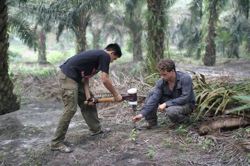 Thomas Guillaume (on the right) collecting samples in Sumatra, Indonesia.  (EPFL/WSL )