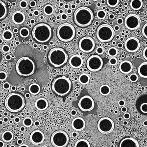 Abb. 2: Eine solche Momentaufnahme des Tröpfchenmusters nehmen die Wissenschaftler mit ihrem Versuchsaufbau sechsmal pro Sekunde auf. Eine genaue Analyse der Bilder sowie Computersimulationen ergaben nicht nur, dass weniger kleine Tröpfchen zu finden sind als bislang vermutet, sondern auch, dass die kleinen Tröpfchen schneller wachsen als angenommen.