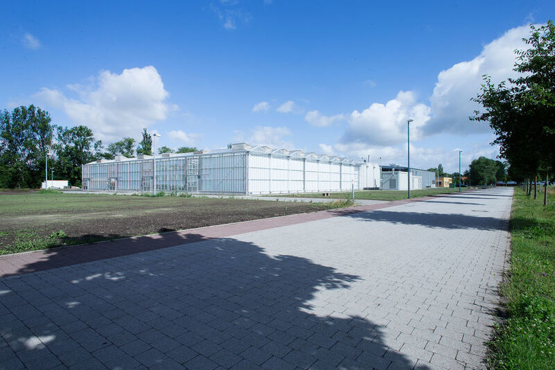 Die neuen Gebäude des Europäischen Weizenzucht-Zentrums in Gatersleben (Bild: Bayer Crop Science)