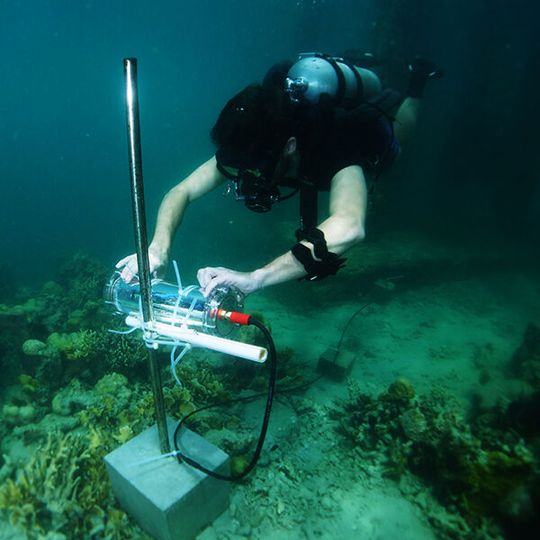 KI ist auch im Naturschutz eine hilfreiche Technik. KI ist auch im Naturschutz eine hilfreiche Technik.