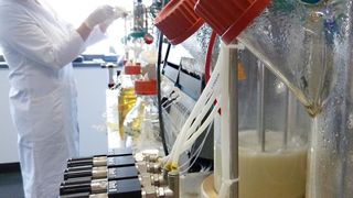 Acib-Forscherin Tamara Wriessnegger führt Testfermentationen durch. (Bild: Acib)