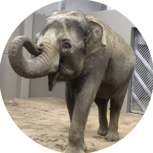 (Bild: Tierpark Cottbus)