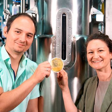 Dr. Lena Hochrein entwickelt mit der BMFTR-Nachwuchsgruppe Tailor der Uni Potsdam maßgeschneiderte Hefen. Und das Team um Professor Ruben R. Rosencrantz vom Fraunhofer IAP sorgt für das Scale-up der Bioprozesse. So will man wichtige Industriezweige nachhaltiger machen ... (Bild: A. Tafazoli Yazdi)