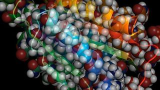 Die räumliche Struktur eines Proteins, die durch Faltung langer Eiweißketten entsteht. Wissenschaftler des Forschungszentrum Jülich haben in Abwasserrohren Bakterien gefunden, die für den Abbau von Proteinen die passenden Enzyme produzieren können. (Forschungszentrum Jülich)