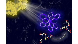 By mimicking photosynthesis, MIT researchers have designed a new type of photocatalyst that can absorb light and use it to help catalyze a variety of chemical reactions that would otherwise be difficult to perform. (MIT)