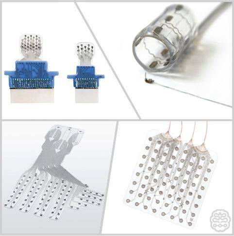 Cortec verfolgt die Vision, Implantat-Technologie auf das nächste Level zu heben, wo innovative technologische Lösungen hocheffiziente personalisierte Therapien ermöglichen.  (Cortec)