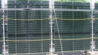 Diese Flachplatten-Reaktoren von Subitec kommen in der Versuchsanlage zum Einsatz. Die senkrecht hängenden Kunststoffbehälter mit werden Nährlösung und Algen gefüllt.  (Bild: Archiv Subitec)