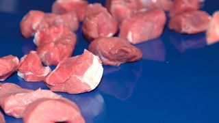 Habasit setzt auf Transportbandlösungen, die vor allem für die Lebensmittelindustrie interessant sind. (Habasit)