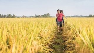 man_father_girl_child_walking_grass_fields_2102_1700w.jpg (AXIS Communications GmbH)