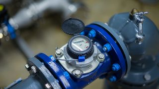 michael-adobestock-96027539 (Quelle: Michael/stock.adobe.com)