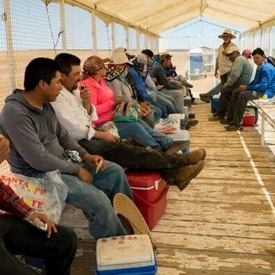 A cotton trailer outfitted with benches and a sunshade offers farmworkers a reprieve from the sun as they take a break from picking cantaloupe melons in Firebaugh, Calif.
 (Source: Joe Proudman/ Regents of the University of California)