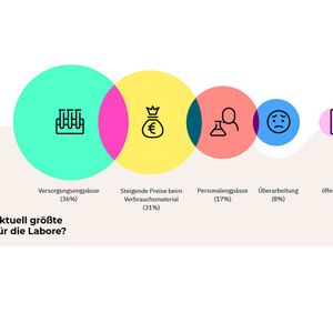 (Starlab International)