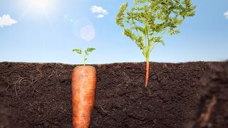 Der Schein kann immer trügen, das gilt auch für SASE-Lösungen, weshalb Anwender schon genau hinschauen müssen, was die jeweiligen Angebote zu bieten haben. (© photoschmidt – stock.adobe.com)