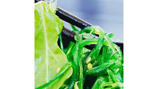 Algae may be an interesting and sustainable alternative to animal-derived protein. (Source: frei lizenziert)