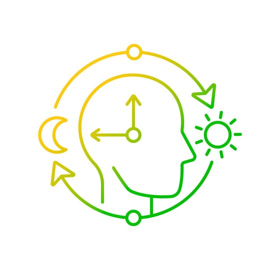 Unser Biorhythmus beeinflusst Konzentration, Motivation und Produktivität. Heute verbringen wir zuviel Zeit in Innenräumen – dafür ist der Mensch aber nicht gemacht.(Bild:  © bsd studio - stock.adobe.com.jpeg)