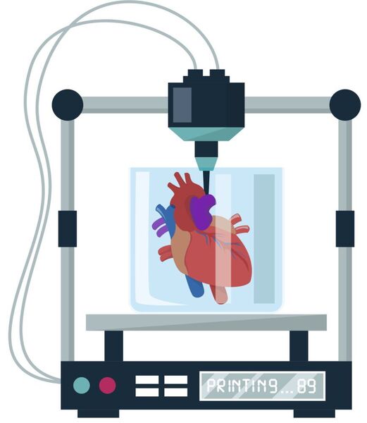 Es kommen schon Organe aus dem 3D-Drucker. Doch sie sind (noch) nicht funktions-, (noch)  nicht lebensfähig. Trotzdem hoffen Forscher und Mediziner auf bessere Heilmethoden durch 3D-gedrucktes Gewebe. (©ImLucky - stock.adobe.com)