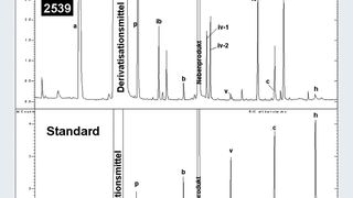 Abb.1: Vergleich des SPME-GC-MS-Chromatogramms einer BAL-Probe (oben) mit einem wässrigen Standard (unten) (a=Essigsäure, p=Propionsäure, ib=Isobuttersäure, b=Buttersäure, iv1=2-Methylbuttersäure, iv2=3-Methylbuttersäure, v=Valeriansäure, ic=Isocapronsäure, c=Capronsäure,
IS=2-Methylhexansäure, h=Hexansäure). (Archiv: Vogel Business Media)