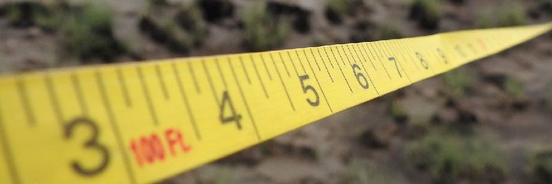 Das auf technologische Nachhaltigkeitsförderung spezialisierte SustainableIT.org hat Standards veröffentlicht.(Bild:  gemeinfrei, jkdberna / Pixabay)