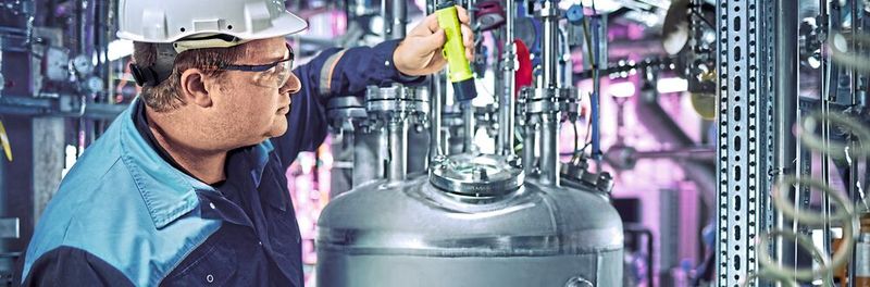 The project is a significant step towards plastics based on plant biomass.