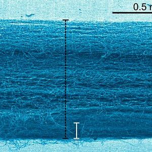 Die auxetischen Membranen zeigen eine rund 10-fache Dickenzunahme durch die Zugwirkung. (colorierte Aufnahme)