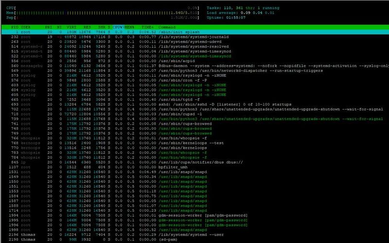 Das Tool „htop“ bietet mehr Informationen zur CPU-Auslastung von Servern. (Joos/Microsoft (Screenshot))