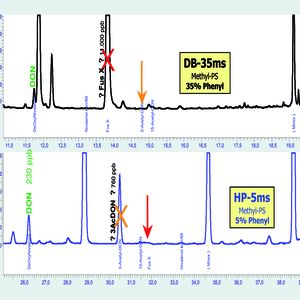 Abb. 2 µECD-Chromatogramme desselben Schweinemastfutters auf zwei unterschiedlichen Phasenpolaritäten (Agilent 6890).