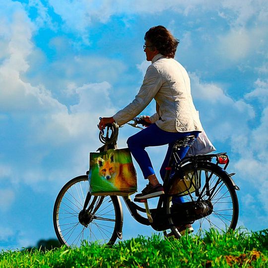 Physical activity is known to help improve mental health. Physical activity is known to help improve mental health.
