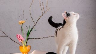 Wir helfen Ihnen mit fünf Tipps, damit sich Ihre Mitarbeiter auch in turbulenten Zeiten auf Sie verlassen können. (Bild: gemeinfrei)