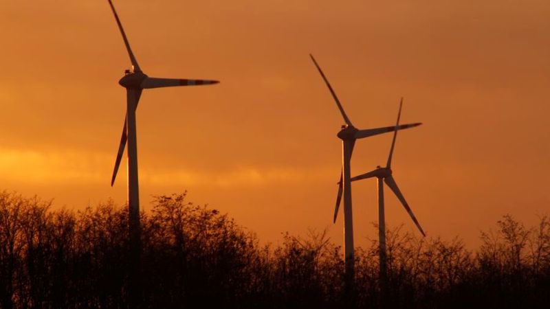 Diese Windmühlen stehen im Bundesland Burgenland in Österreich. Hier soll ein großes Rechenzentrum entstehen. Doch noch gibt es wenige Details über das Vorhaben.(Bild:   / CC0)