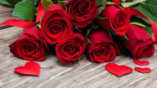 Rote Rosen gehören zu den klischeehaften Geschenken am Valentinstag. (almaje-stock.adobe.com)