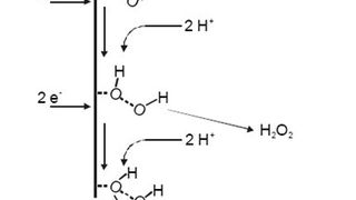 Die elektrokatalytische Sauerstoff-Reduktion spielt eine bedeutende Rolle bei der elektrochemischen Energie-Umwandlung. (Bild: TU Darmstadt)