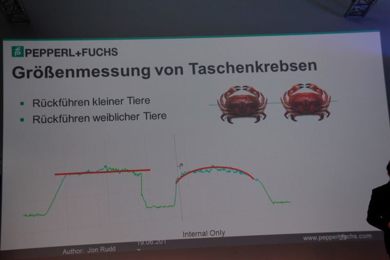 Die Größenmessung von Taschenkrebsen ermöglicht die Rückführung kleiner und weiblicher Tiere. (Reinhold Schäfer)