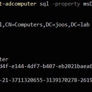 Anzeigen der Key Version Number für einen SQL-Server auf Basis von Linux.(Bild:  Joos (Screenshot))
