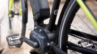 adobestock-335621020 (Quelle: stock.adobe.com/ellisia)