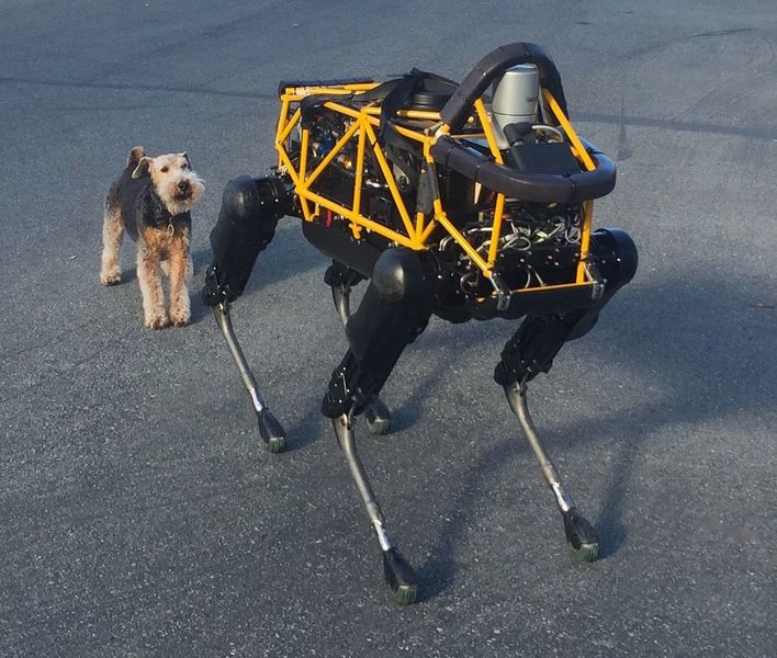 Der Roboter Spot imitiert einen Hund. Jetzt gehören die Roboter von Boston Dynamics zum japanischen Konzern Softbank. (Steve Jurvetson)