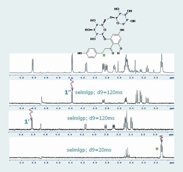 Abb. 3: Selektive TOCSY-Experimente mit unterschiedlichen Mischzeiten während der Spin-Lock-Zeit (Einstrahlung bei den 1’ und 1” anomeren Protonen der Zuckerreste sowie bei der hochfeldverschobenen –CH2-Gruppe des Aglykons).  (Bild: Bruker Biospin)