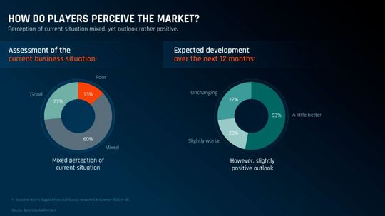 60 percent of suppliers rate the current situation as "mixed," while more than 50 percent expect a positive development in the next twelve months.(Image: Berylls by AlixPartners)
