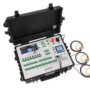 Synchrone Erfassung, kombinierte Analyse: Unterschiedliche Messgrößen werden im Messkoffer zeitgleich erfasst und gemeinsam analysiert, hier zum Beispiel Schwingungs- und Leistungsmessdaten.(Bild:  Delphin Technology)