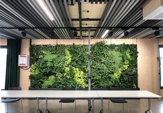 (Nachhaltiges Bauen und natürliche Materialien: Besonders die Brettsperrholzdecke des Forscherhauses stand im Fokus der Untersuchung. Foto: Brüninghoff)