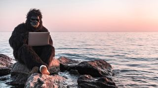 Programmierer verwandeln Kaffee und Pizza in Code. (belolipetskiyra - stock.adobe.com)