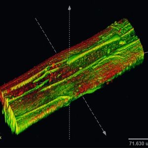 (Bild: Uni Bayreuth)