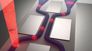 Photonischer Schaltkreis, in dem Einzelphotonen geführt und auf zwei Wellenleiter-Arme aufgeteilt werden. Die Detektion erfolgt direkt auf dem Chip mittels integrierter Detektoren am Ende der beiden Arme, die reflektierenden Metallschichten dienen der Unterdrückung des Streulichts des Anregungslasers. (Bild: Universität Stuttgart / Mario Schwartz)