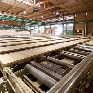 In der sogenannten Endlosfertigung entstehen verwindungsfrei verleimte Mas-sivholzelemente bis 18 Meter Länge.